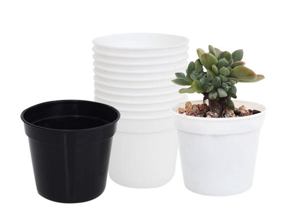 DODXIAOBEUL Round Succulents Plant Pots Drainage Hole, Set of 40 Mini Plant Pots 2.5" Wx2.25 H,Perfect for Plant Seeds,Seedling Nursery Transplanting Planter Container(White-40)