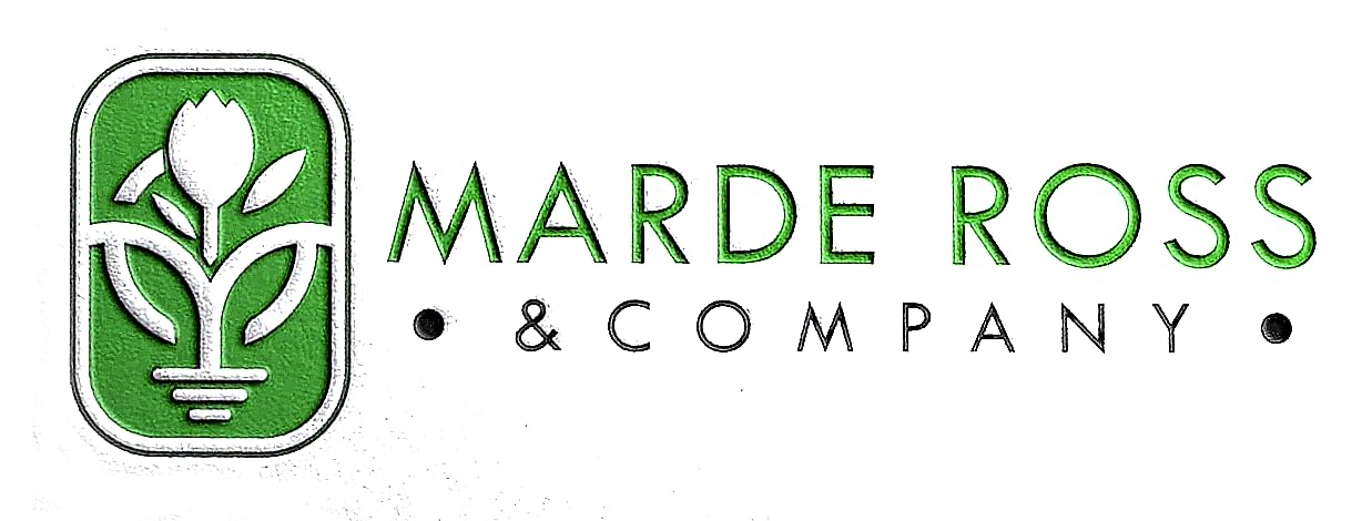 3500 Basket of Gold Seeds - Perennial for Borders, Beds, Rock Gardens, Ground Cover
