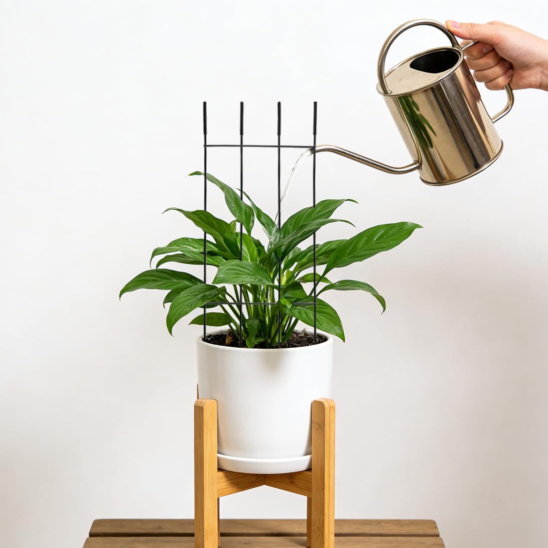 32.6inch Plant Trellis for Pot Climbing Plants Indoors & Outdoor, Garden Trellis for Potted Plants, Rust-Proof Metal Sturdy Yet Gentle Climbing Stakes Support for Ivy Pothos Hoya Monstera (4pcs)