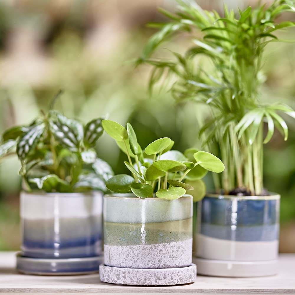 CHIVE ‘Minute’ Ceramic Succulent Planters — Set of 3 — 3” Indoor Cactus & Flower Container Pots with Drainage & Detachable Saucer — Green Blue Mix
