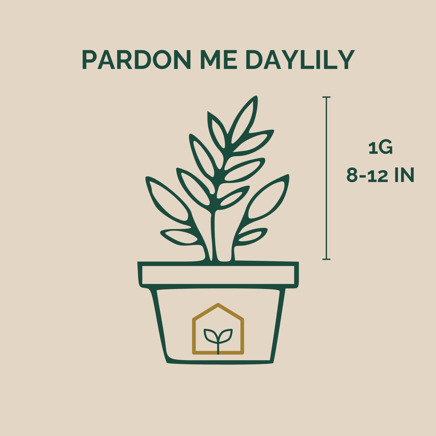 Pardon Me Daylily 1-Gallon