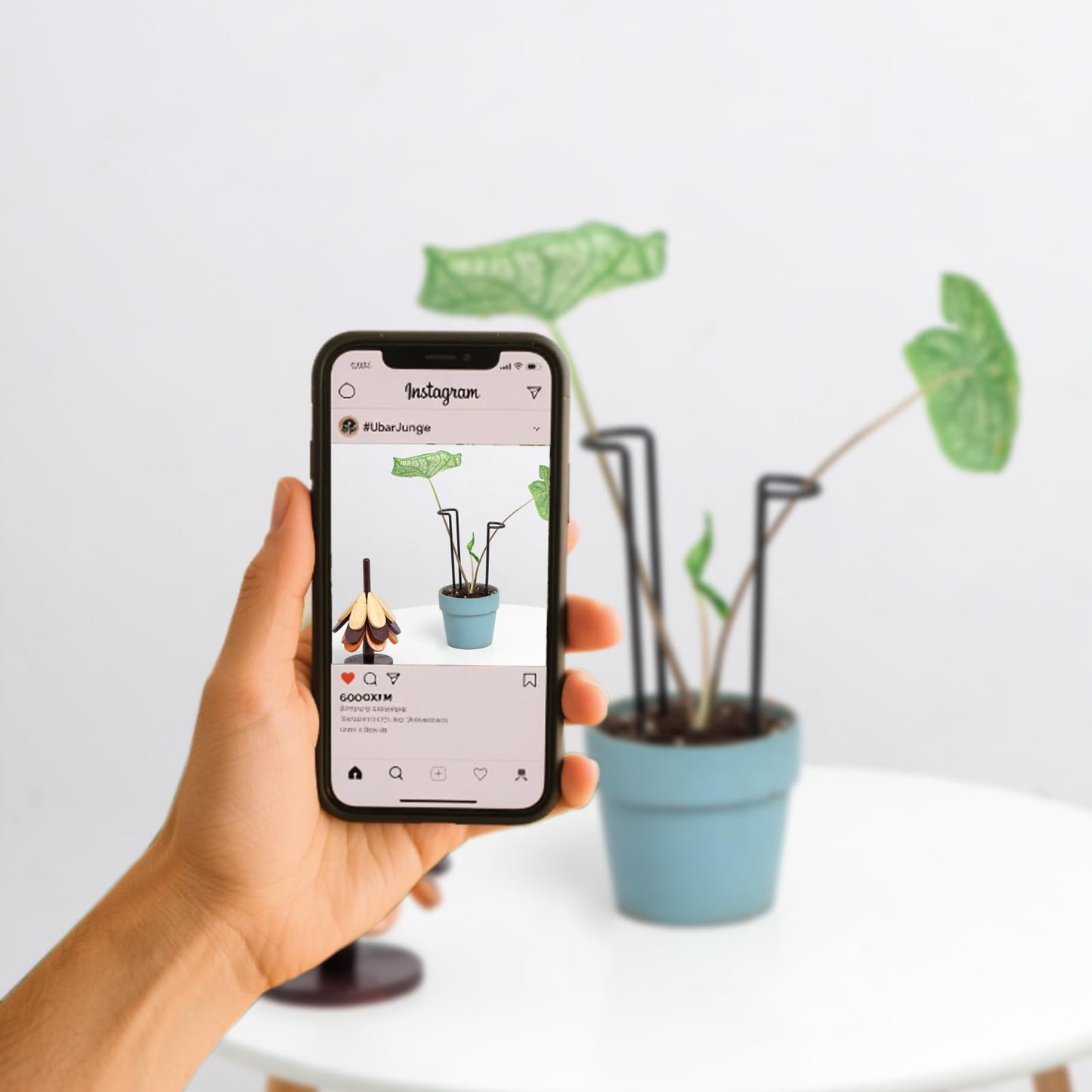 GOOOXIM 10 Pack Indoor Plant Support for Monstera Trellis Stakes and Stem Holder - Perfect for Small Indoor Plants, Desktop Gardens & Flower Shelf Use, Easy to Set Up and Efficient Support