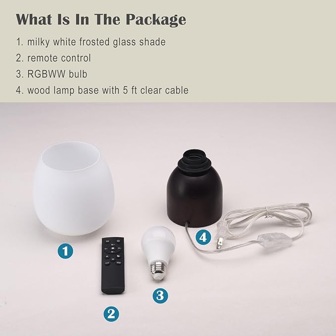 Small LED Table Lamp for Bedroom,RGB Color Changing Desk Light,Remote Control Black Wood
