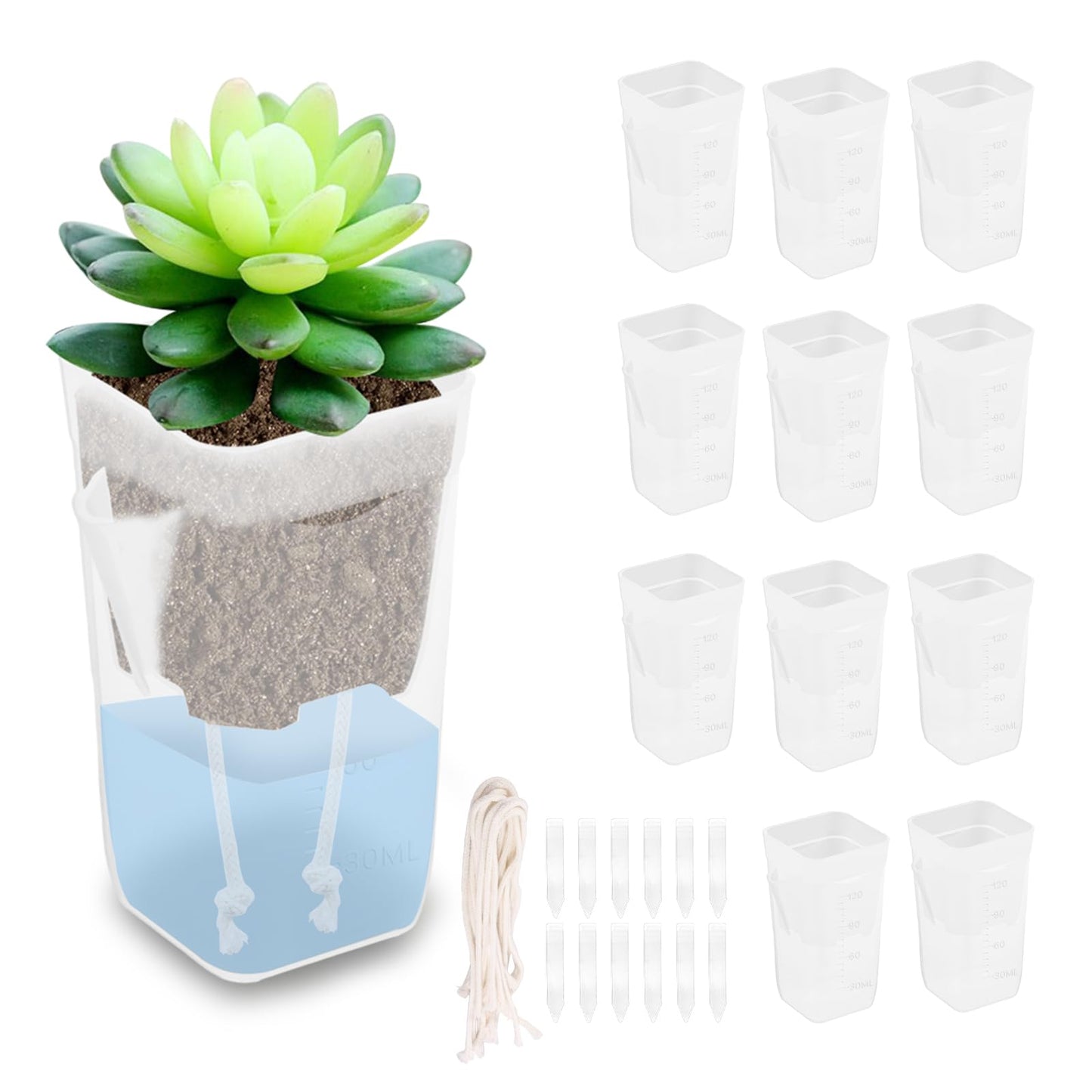 Fizocosisto 12Pcs Self Watering Pots with Transparent Reservoir,2/2.5Inch Plastic Flower Pots with Drainage Holes Indoor Plant Container for Herbs and House Plant(Transparent color-12-2 inches)