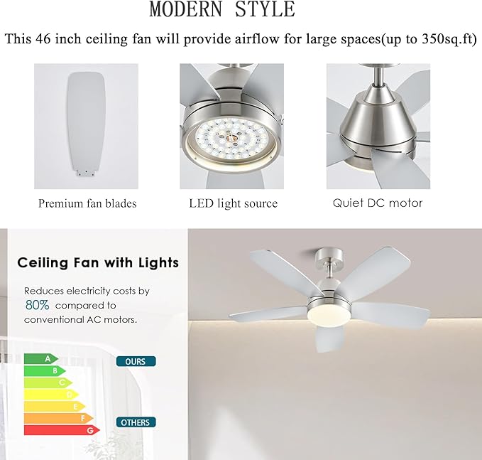 Ceiling Fans with Lights