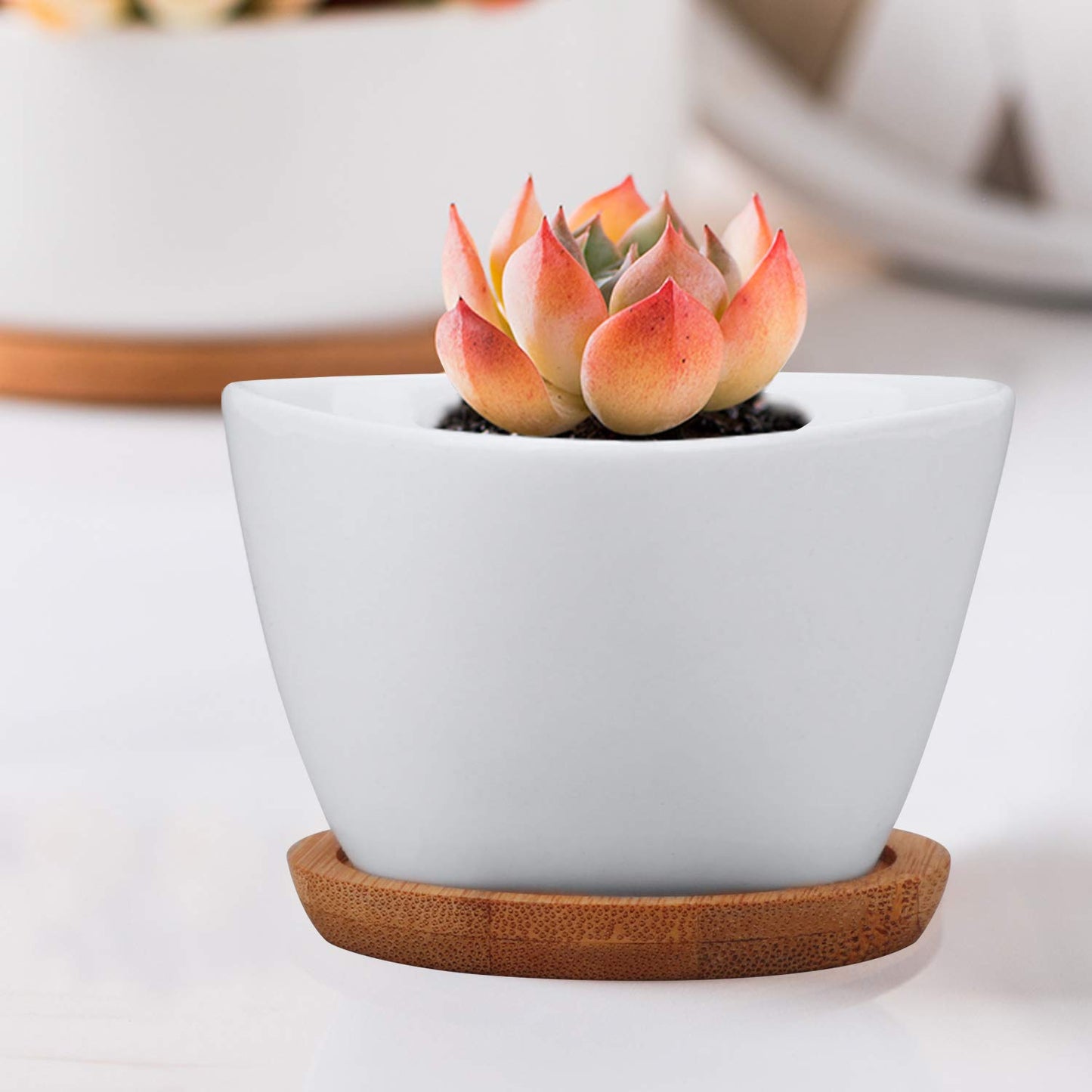 Brajttt Succluent Pots ,Small Flower Pots Planter Pots with Drinage,Ceramic Flowers Pots with Bamboo Tray for Cactus(12 Pack)