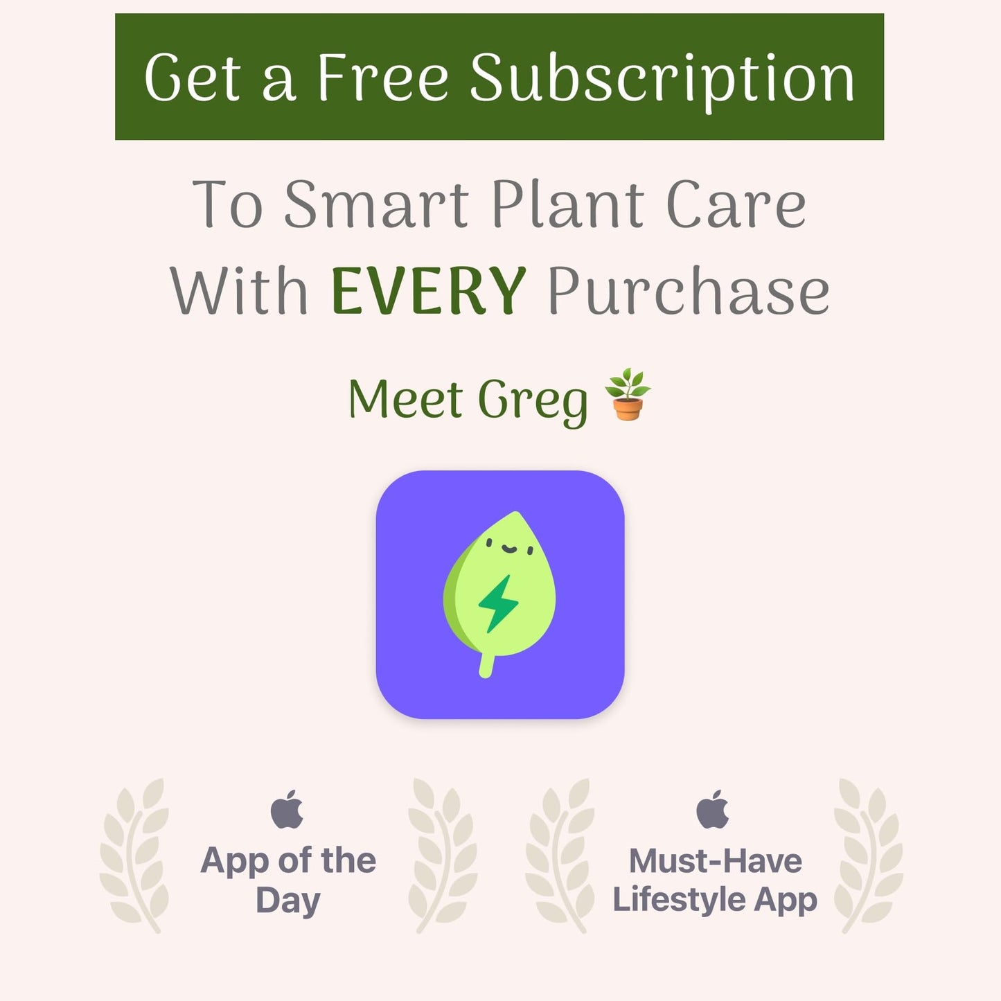 American Plant Exchange Windmill Palm Tree – 4-Inch Pot – Live Cold Hardy Tropical Plant, Drought Tolerant and Easy Care for Outdoor Landscapes, Gardens, or Patio Decor