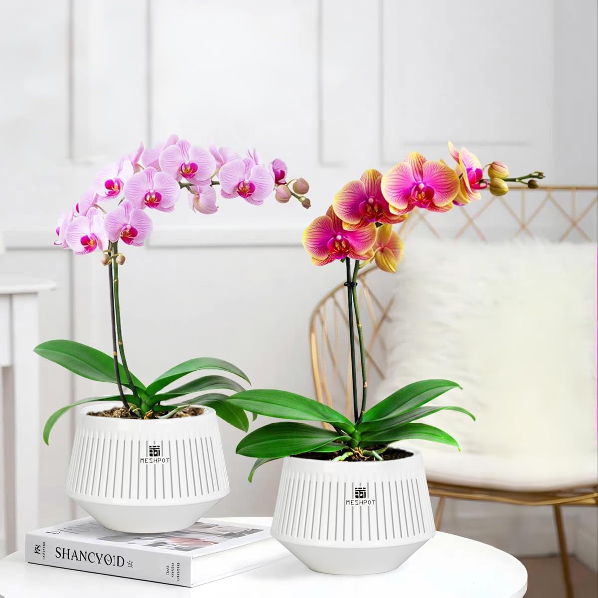 Meshpot 5 inch Orchid Pots with Holes for Repotting,Set of 3,Decorative African Violet Pots with Air-Pruning and Good Air Circulation,Plastic White Orchid Planter with Saucers