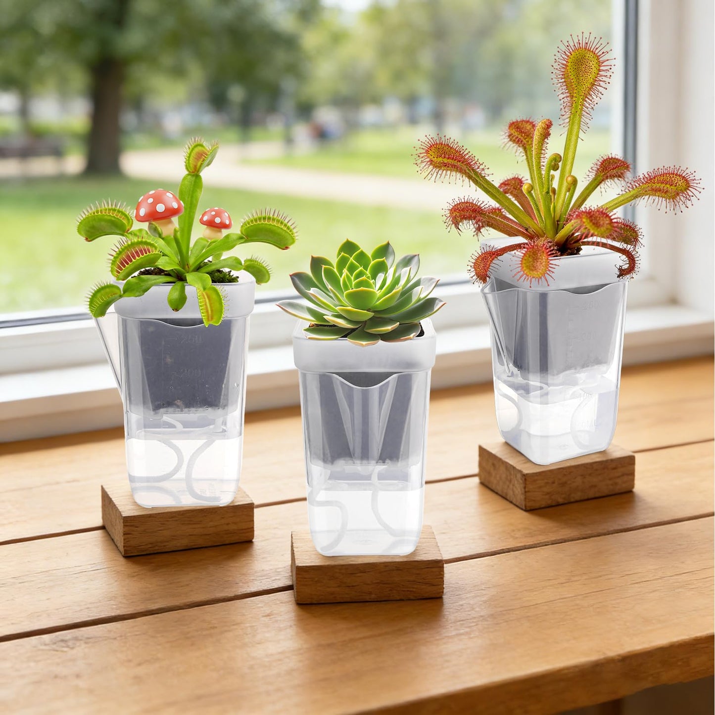 10 Pack 2.5 Inch Small Self Watering Pots for Indoor Plants Mini Clear Plastic Planters, Self Watering Pot for Propagation Cuttings Seedlings, Herbs, Succulents, Pothos Spider Plants