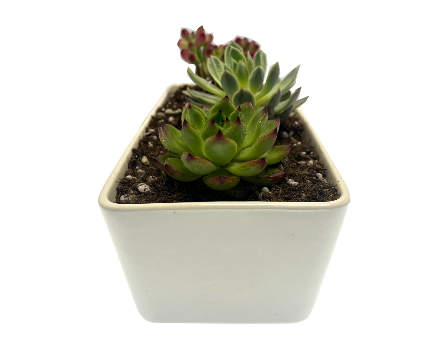 Kipokalor Rectangular White Ceramic Succulent Planter Pot,one Set of 10.19x4.64x3.22inch Modern Minimalist with Ceramic Saucer for Office,Desk,Window.