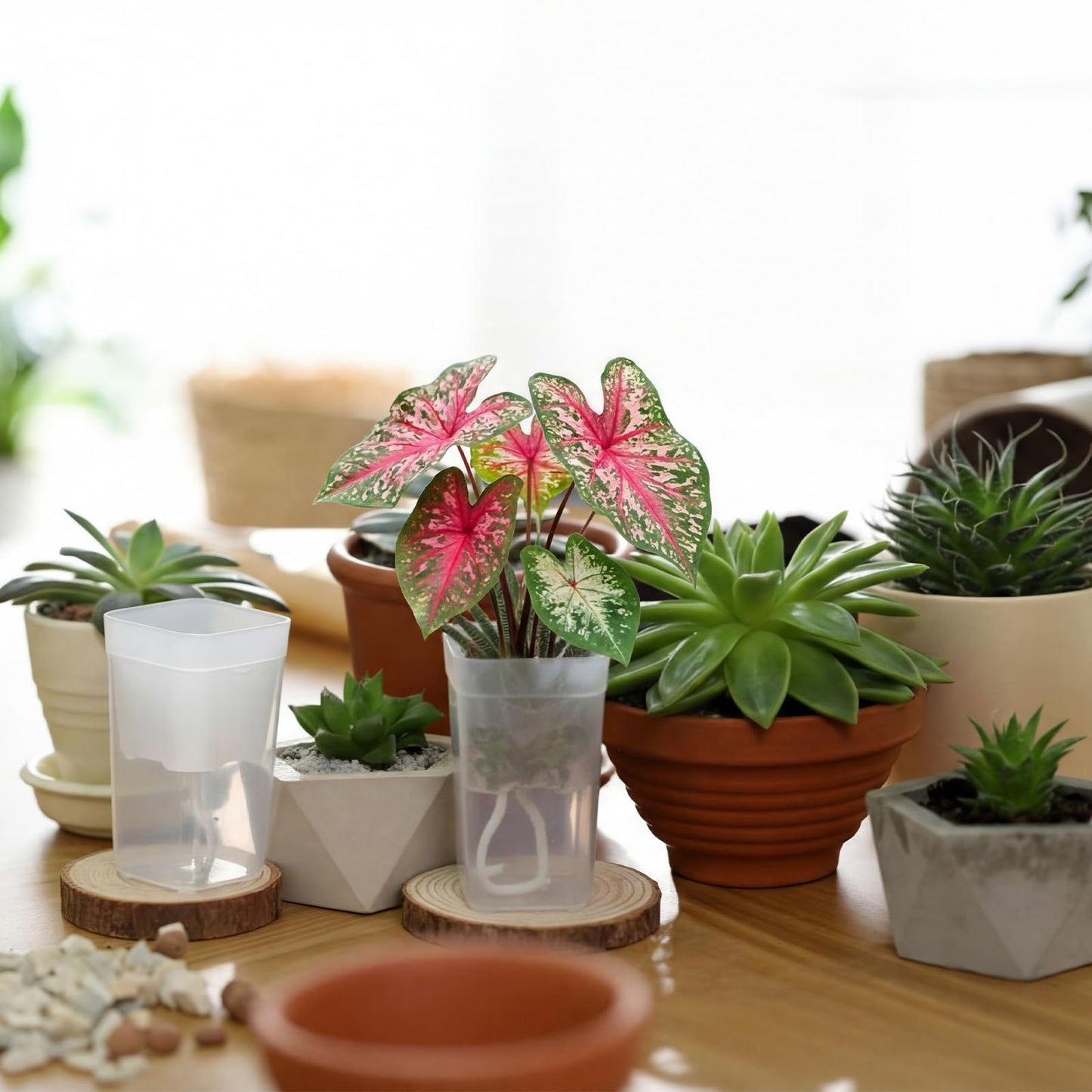 LemonRoad 20 Pack 2.5" Small Self Watering Pots for Indoor Plants with 20 Plant Label Mini Clear Plastic Planters with Water Level and Drainage Holes for Propagation, Succulents, and African Violet