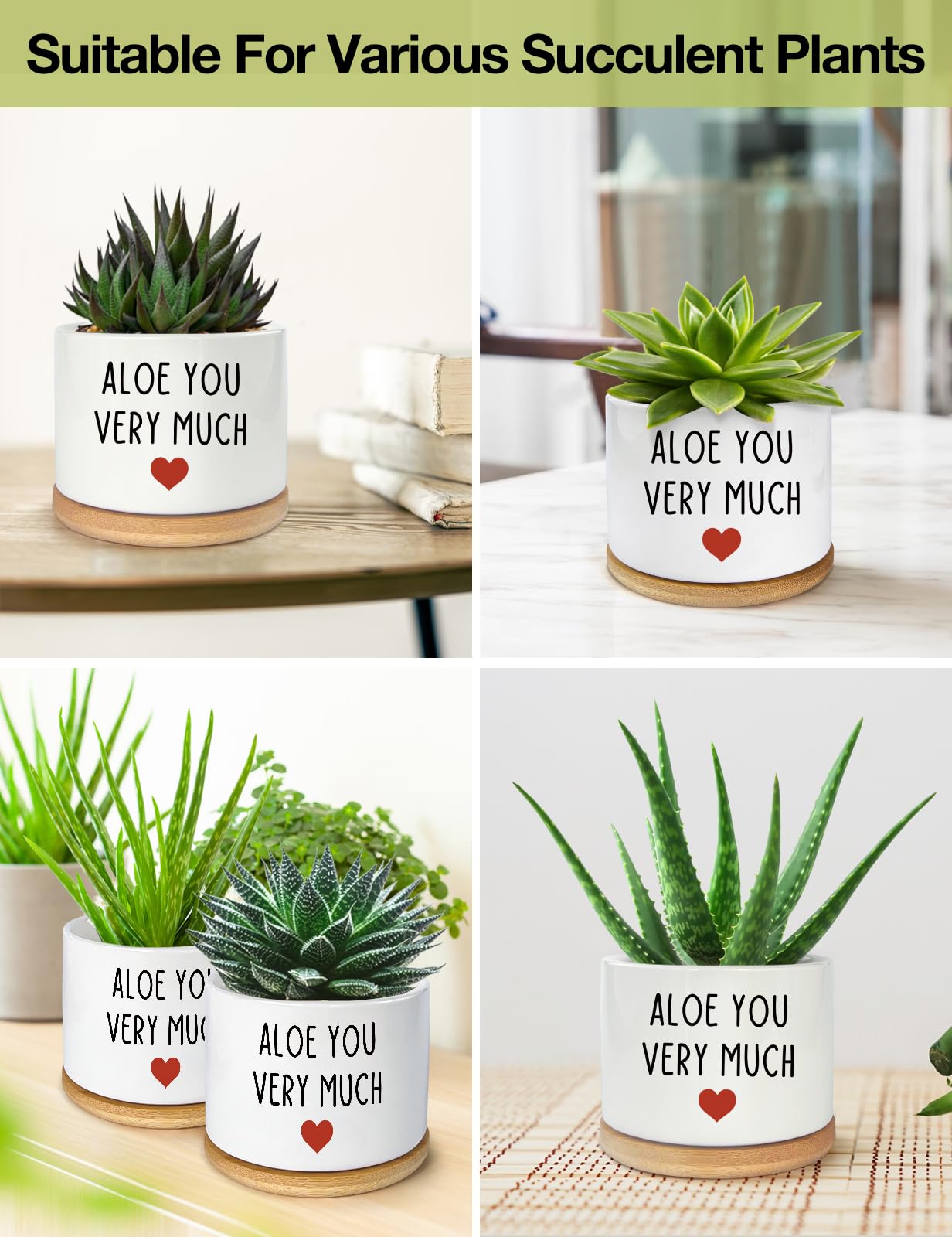 PWHINGN Thank You Very Much Engraved White Ceramic Succulent Planter Pot, Funny Indoor Plant Pot for Home Office Windowsill, Aloe Cactus Flower Pot 3.8 Inch, Plant Pot Gift (Plant Not Included)