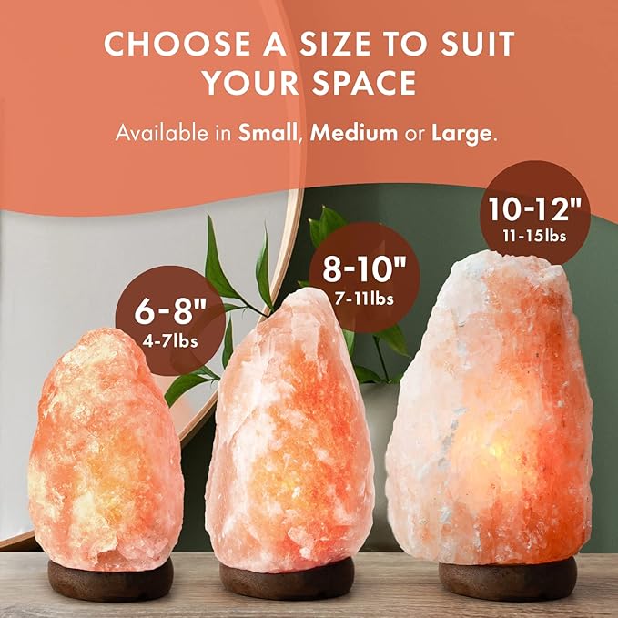 The Body Source Himalayan Salt Lamp | 8-10 in (7-11 lb) | Natural Salt Rock Lamp with Dimmer Switch & Wooden Base | Night Light & Bulb Replacement (Pack of 2)