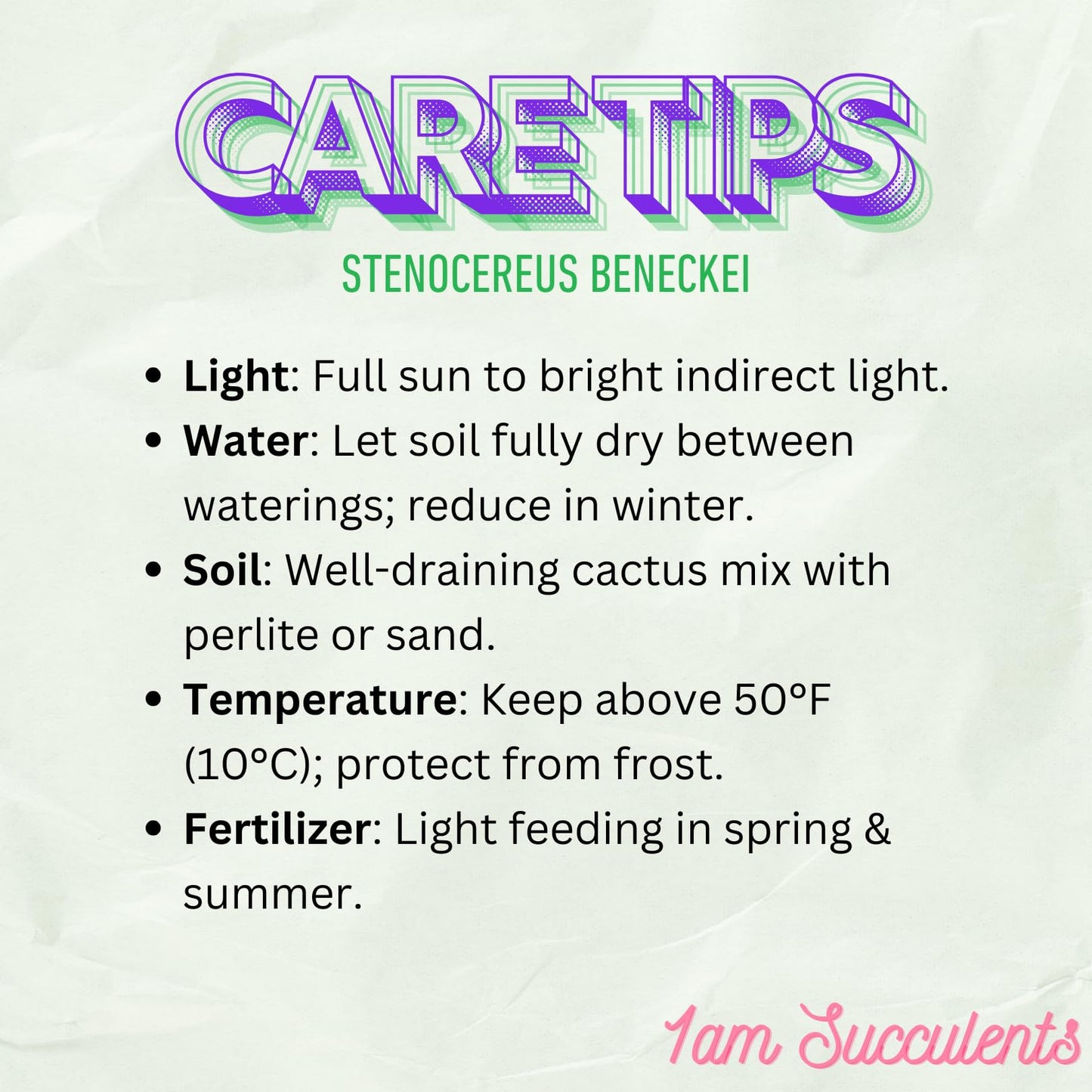 Stenocereus Beneckei Cactus β Rare Live Succulent Plant β 8"-10β Tall β Unique Columnar Cactus for Indoor & Outdoor Decor β Drought-Tolerant, Easy Care Live Plant