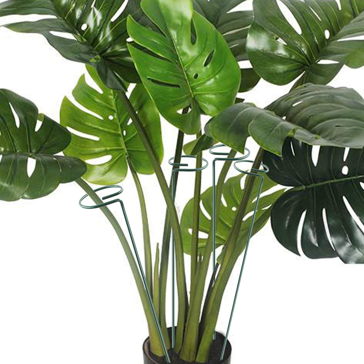 12 Pack Plant Stake Support, Garden Single Stem Support Stake Plant Cage Support Rings, Single Stem Plant Support Stakes, for Tomatoes, Peony, Lily, Rose, Flowers Amaryllis