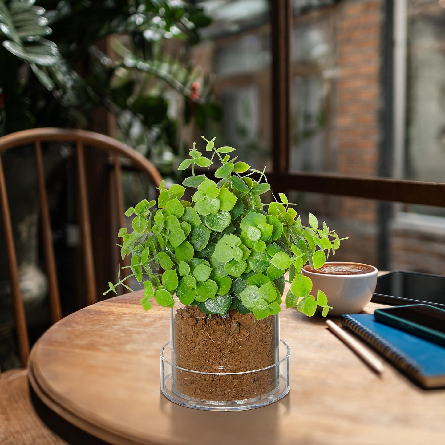 Sunnychicc Clear Plant Nursery Pots Acrylic Orchid Pots with Drainage Holes and Tray Transparent Planter for Indoor Plants, Succulents, Herb, Flowers and Cactus Decorative(4 Inches,Circle)