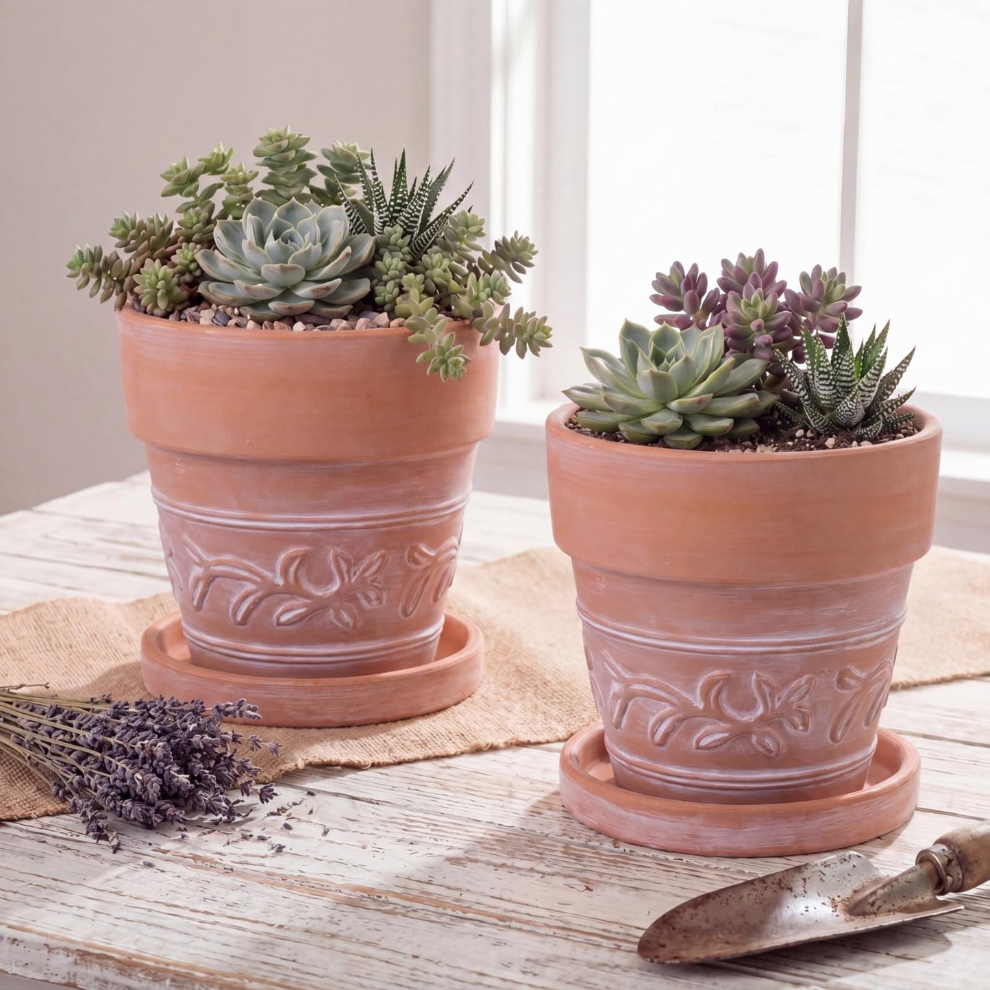 Maxdot Set of 6 Embossed Succulent Pots 4" Small Terracotta Pots with Drainage Hole and Saucer Rustic Clay Succulent Planter Pot Decorative Ceramic Cactu Flower Pot for Indoor Outdoor(Leaf Style)