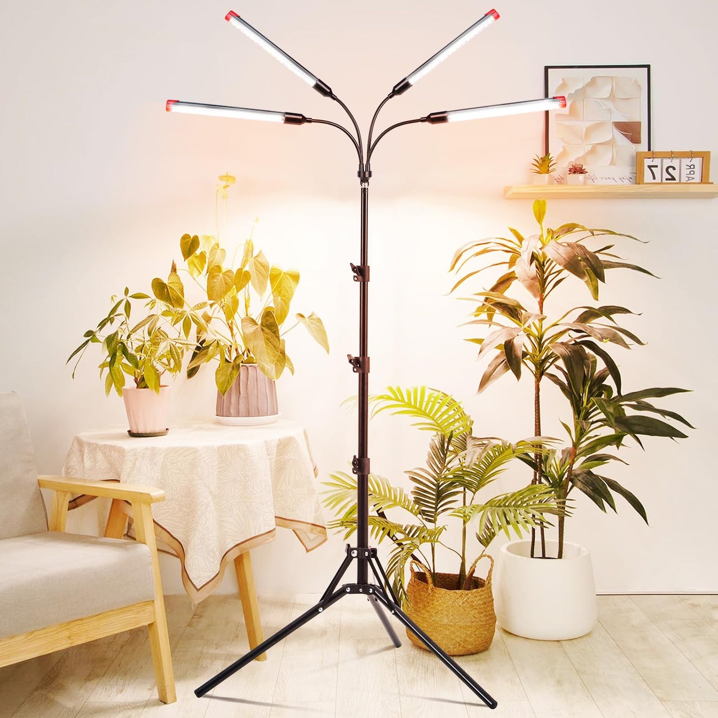 FRGROW 4Head Grow Light with Stand for Tall Indoor Plants, Bonsai Tree, Bright Full Spectrum Plant Growing Lamps, 4/8/12/16/20H Timer, 36 Watt Power Draw, NO Need Adapter, 360° Gooseneck