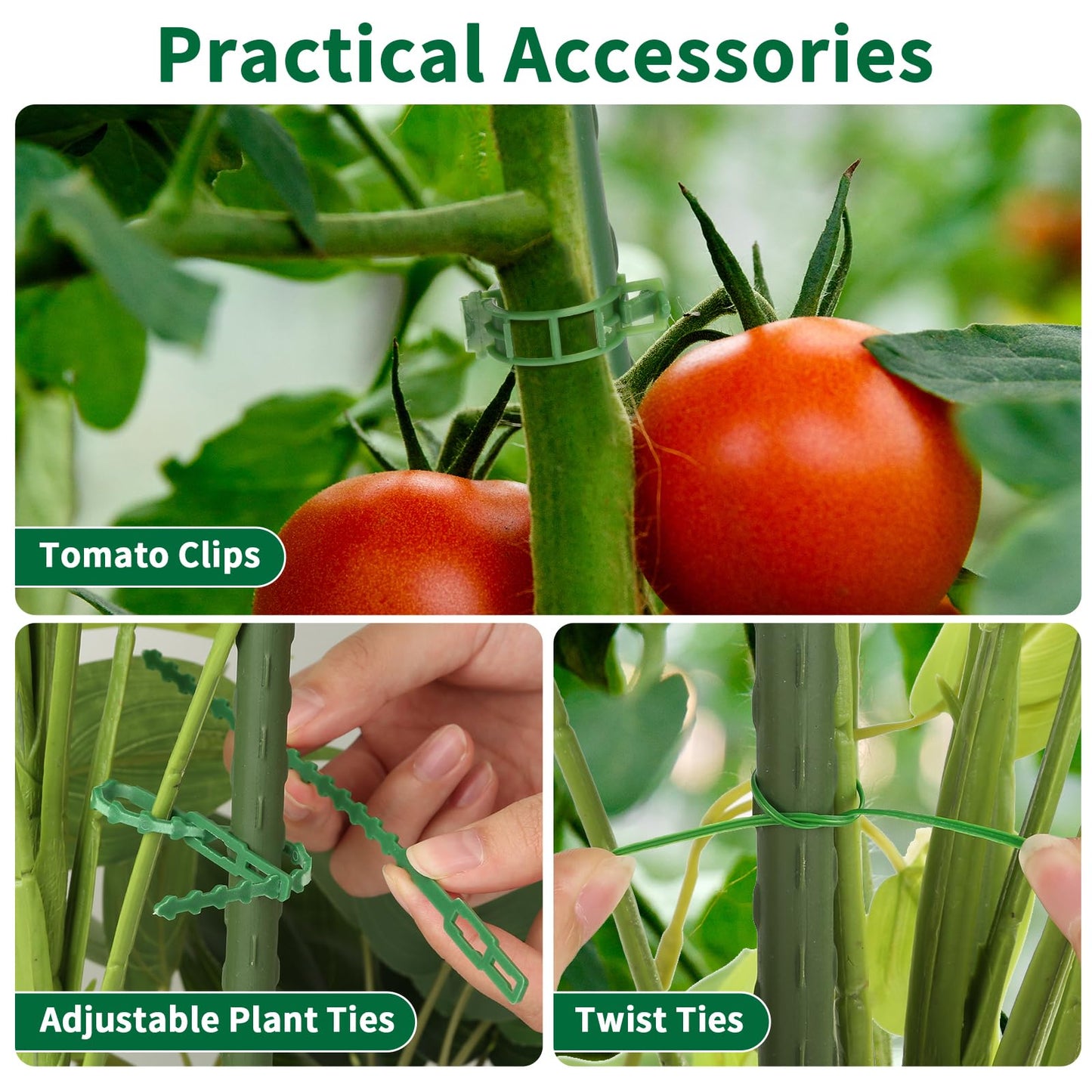 ROADPLUM 2 Pack 48" Tomato Cage for Garden, Heavy Duty Adjustable Plastic Coated Steel Pipe Tomato Stakes Trellis Plant Cages for Vegetable, Fruit, Flower, Rose Vine Climbing Plants