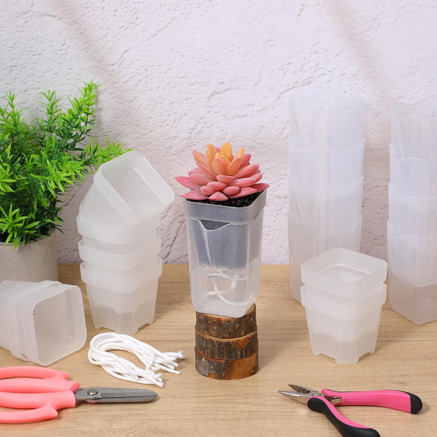 Douaowoc 20 Set 2.5 inch Small Self Watering Pots for Indoor Plants, Mini Clear Plastic Planters, Semi-Hydro, Propagation, Cuttings, Seedlings, Hoya, African Violets, Alocasia