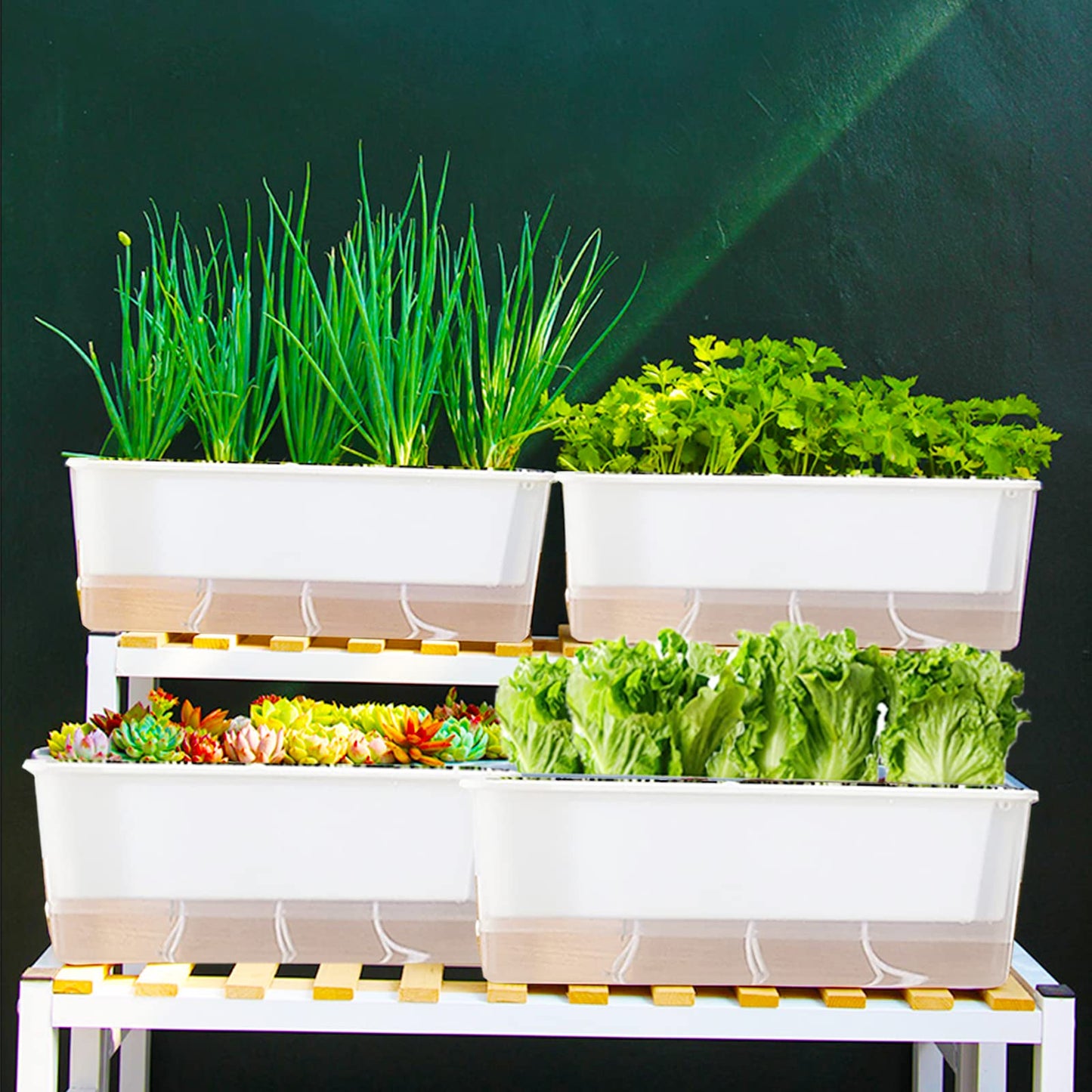FAMZ Self Watering Pots for Indoor Plants 3 Pack Transparent Rectangular Planter, Vegetable Planters for Windowsill Patio Garden Balcony Home Porch Yard Indoor Outdoor, White
