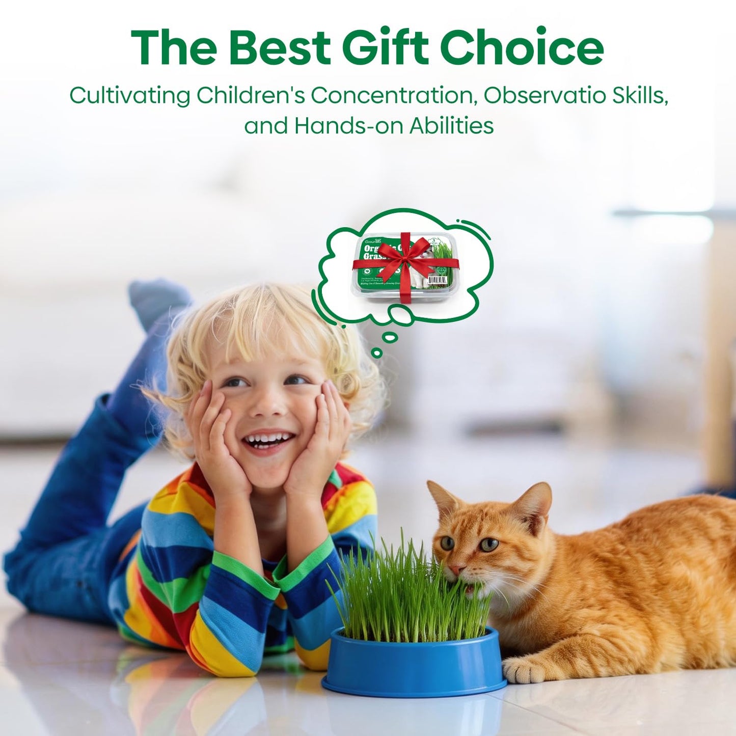 Groundio Cat Grass Seeds, All in 1 Cat Grass Growing Kit for Indoor Cats, Organic Wheat & Oat Seed with 98% High Germination Rate, Heirloom | Non-GMO | Coco Coir | BPA Free Container