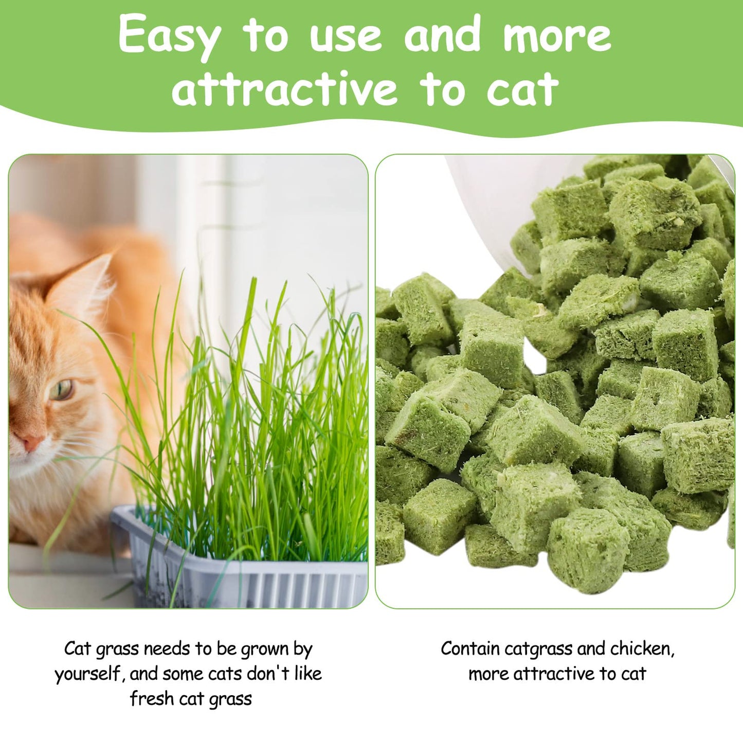 HavenJanny 60g Cat Grass Treats for Indoor Cats, Freezed Dried Cat Grass Teething Stick Snacks for Cats, Edible Feline Chew Toys for Hairball Control and Oral Health