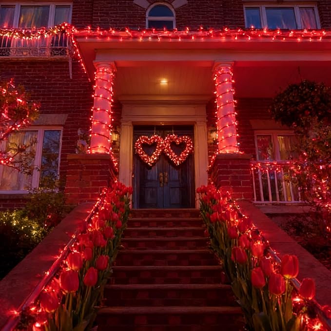 LAMPHOME 200 LED 66ft Valentines Decorative Mini Lights, Red String Lights Outdoor Valentines Day Decorations,Christmas Fairy String Lights Plug in, 16 Lighting Modes Waterproof for Tree Wedding Party