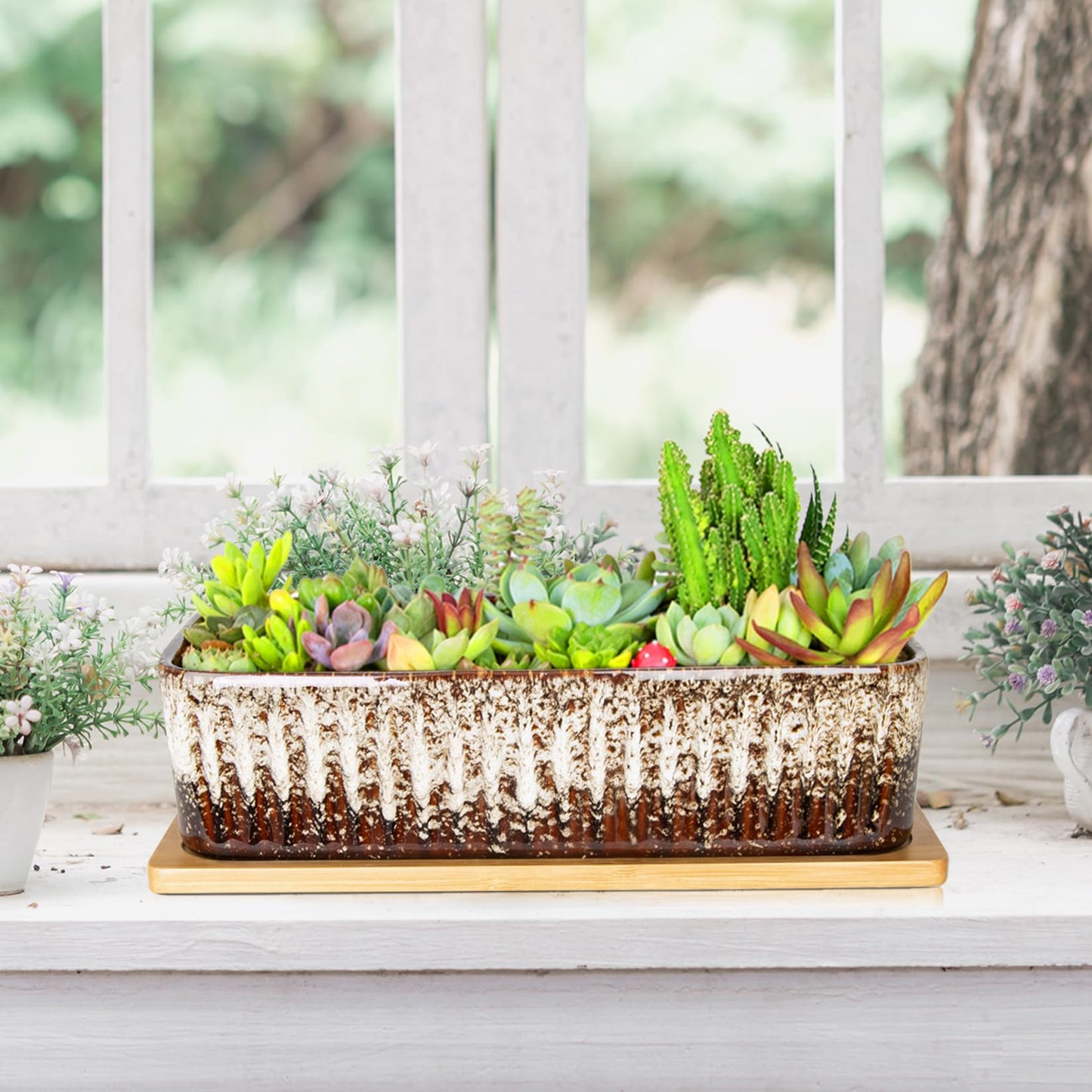 Succulent Pots - 12 Inch Large Succulent Planters with Drainage Tray, Window Sill Planter, Long Rectangle Ceramic Pots for Indoor Cactus Plants Shallow Bonsai Window Box for Home Garden Decor