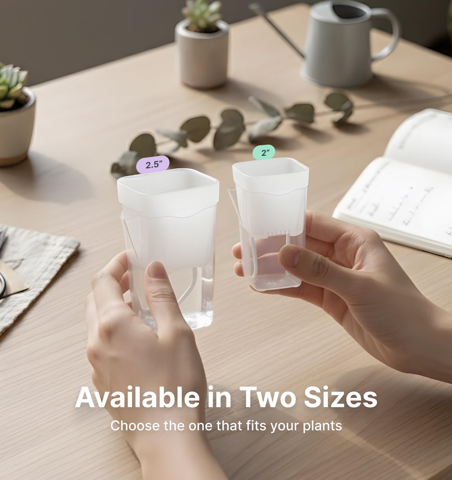 Vandorelle 12 Pack 2.5" Small Self Watering Pots for Indoor Plants, Mini Clear Plastic Planters, Semi-Hydro, Propagation, Cuttings, Seedlings, Hoya, African Violets, Alocasia, LECA, PON,12 Plant Label