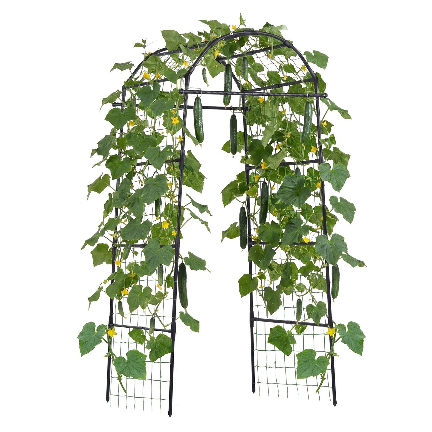 VEVOR Cucumber Trellis, 81 inch Tall Garden Arch Trellis, U-Shape Garden Trellises for Raised Bed, Metal Arch Outdoor Climbing Plants Support for Vine, Peas, Beans, Zucchini, Tomato, Squash, Flowers