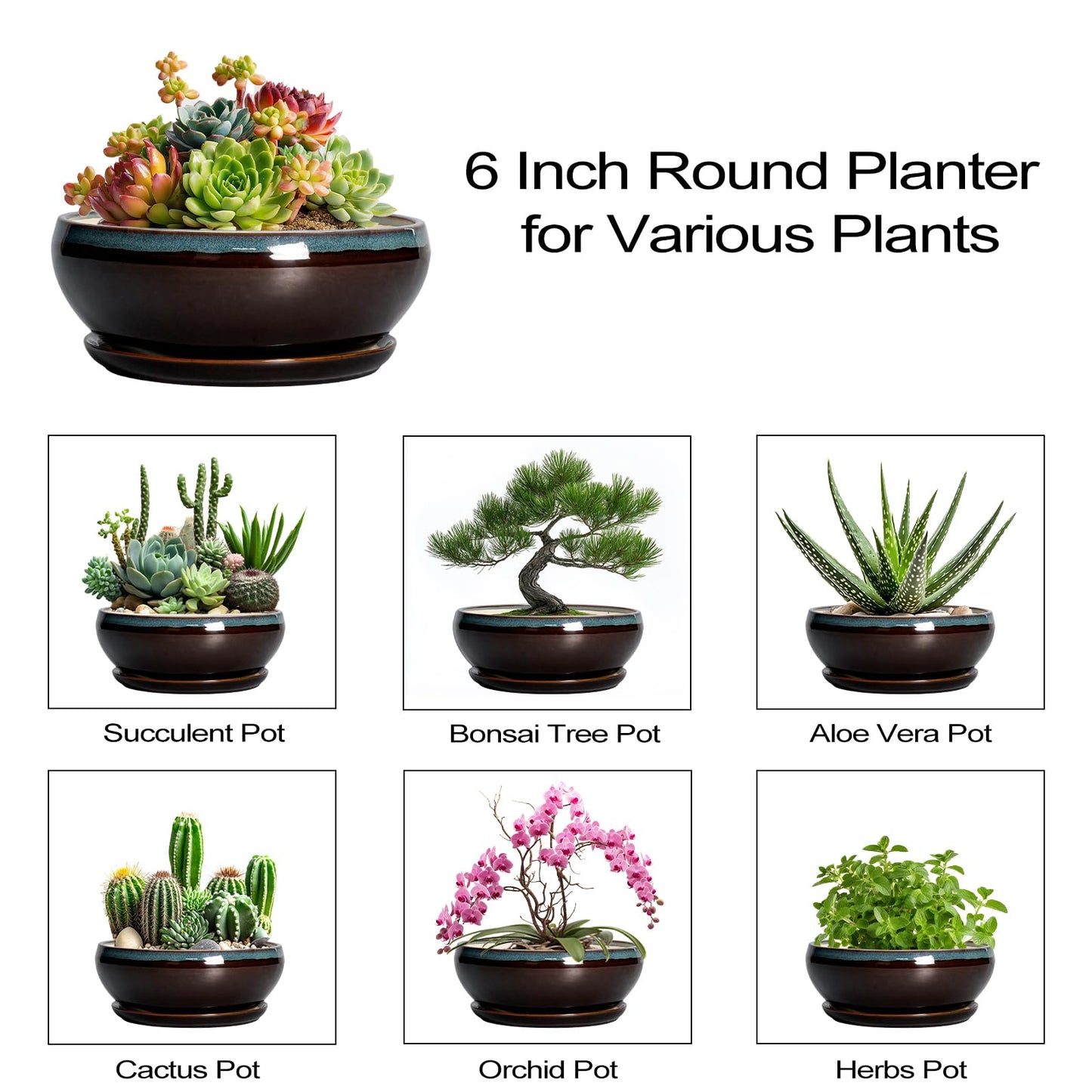 SQOWL Succulent Pots with Drainage Hole - 6 Inch Ceramic Bonsai Tree Pots, Shallow Planter with Saucer, Round Plant Pot for Succulent Indoor Outdoor, Porch Decor, Gifts for Plant Lover, Blue-Brown