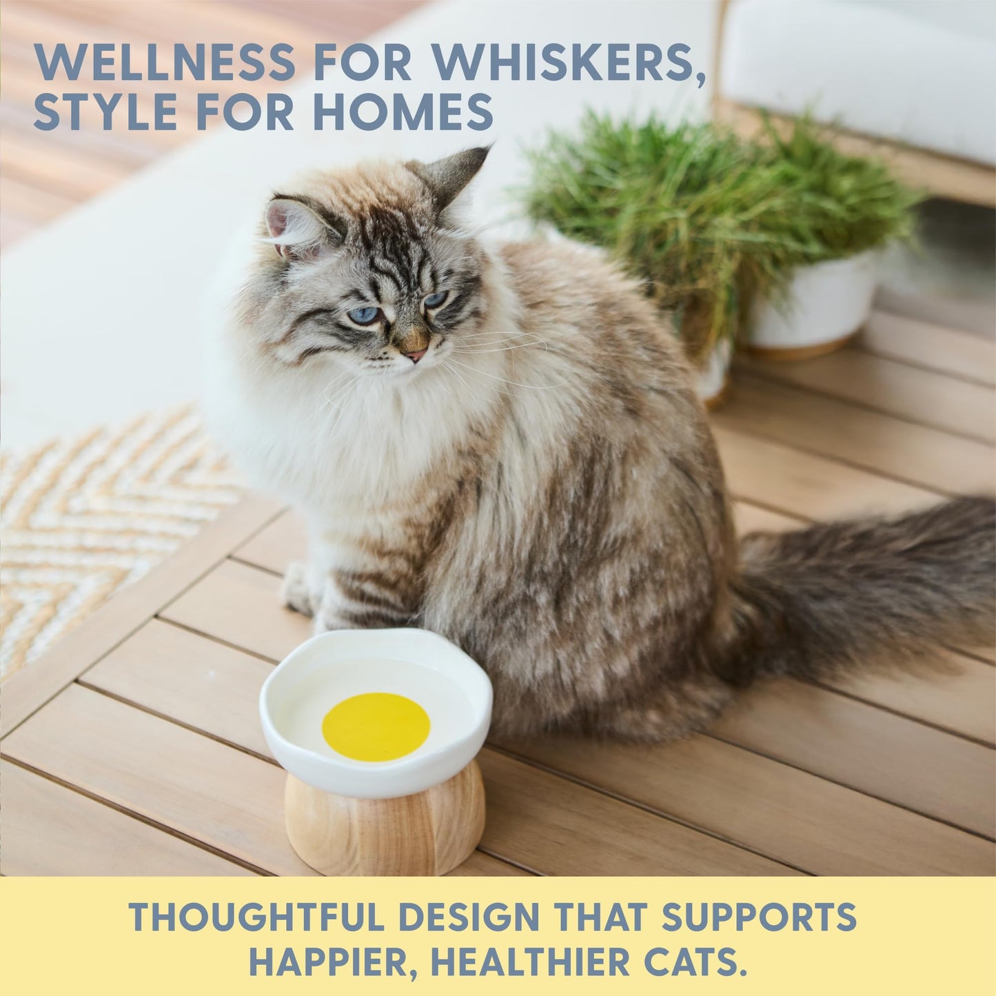 The Cat Ladies Egg Cat Food Bowl - Cute Cats Bowl - Elevated Ceramic Food Bowls - Ceramic Raised Food Bowls - Elevated for Spinal Alignment - Prevents Whisker Fatigue - Wood StandCat Bowl