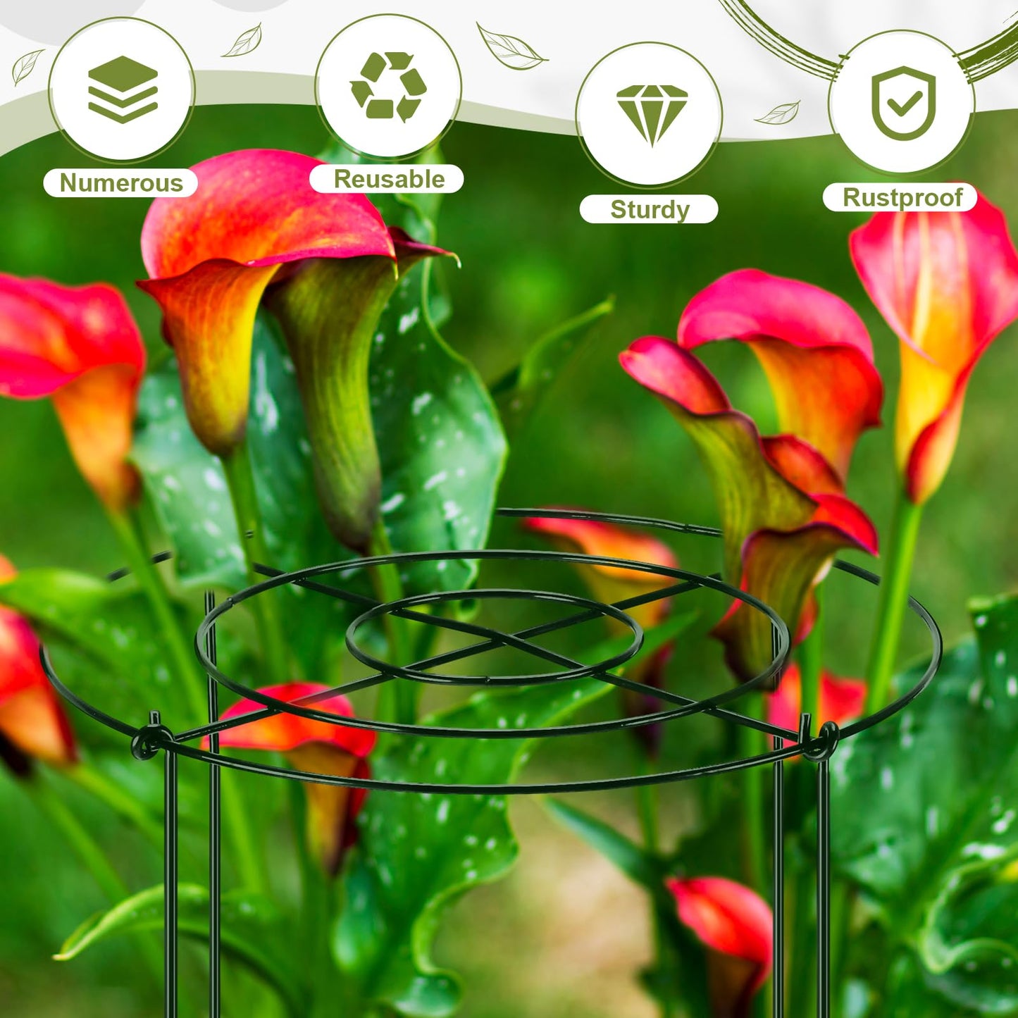 Geelin 24 Pack Peony Cages Bulk 12 x 16'' Peony Cage and Supports for Outdoor Plants Grow Through Heavy Duty Metal Plant Supports Frame Rings Hoops 4 Legs for Flowers Tomato Rose Hydrangea Strawberry