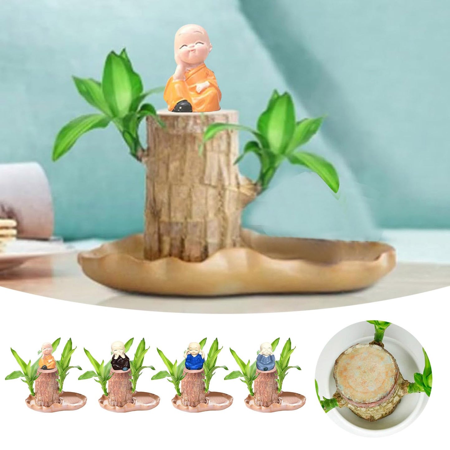 LuxeOne Brazil Wood Hydroponic Tree Stump with Doll & Tray, Brazil Wood Potted Plant, Brazilian Wooden Hydroponic Planting with Tray, for Indoor Office Desktop (C)