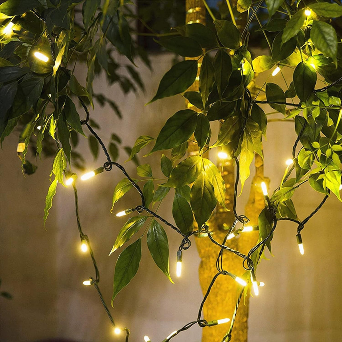 Skiennix 100-Count Warm White LED Christmas String Lights - 35 Ft Green Wire, UL Certified for Indoor/Outdoor Use