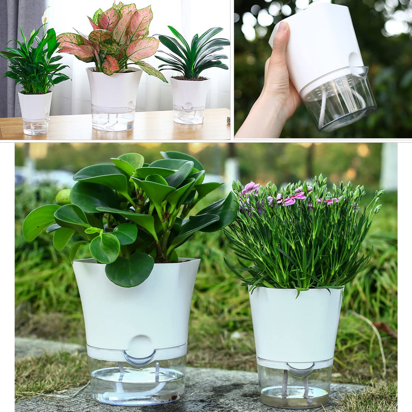 6-Pack 6" Clear Self Watering Pots for Indoor Plants Large Hexagon Self-Watering Planters Orchid Pots Plastic Wick Flower Plant Pots for African Violet, Spider, Herbs, Home Decor, White and Clear