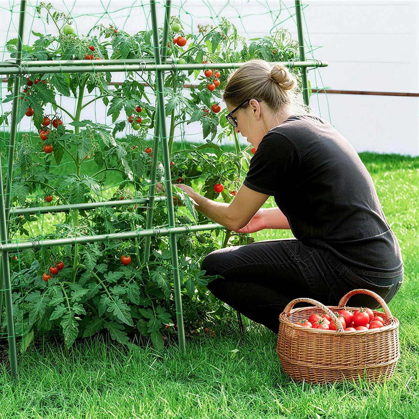 HIRALIY Cucumber Trellis for Climbing Plants Outdoor, 5.6ft Tall Heavy Duty Metal Garden Arch Trellis, Rustproof Plant Support Tunnel for Tomato, Grape, Bean, Raised Bed and Vegetable Gardens, Green