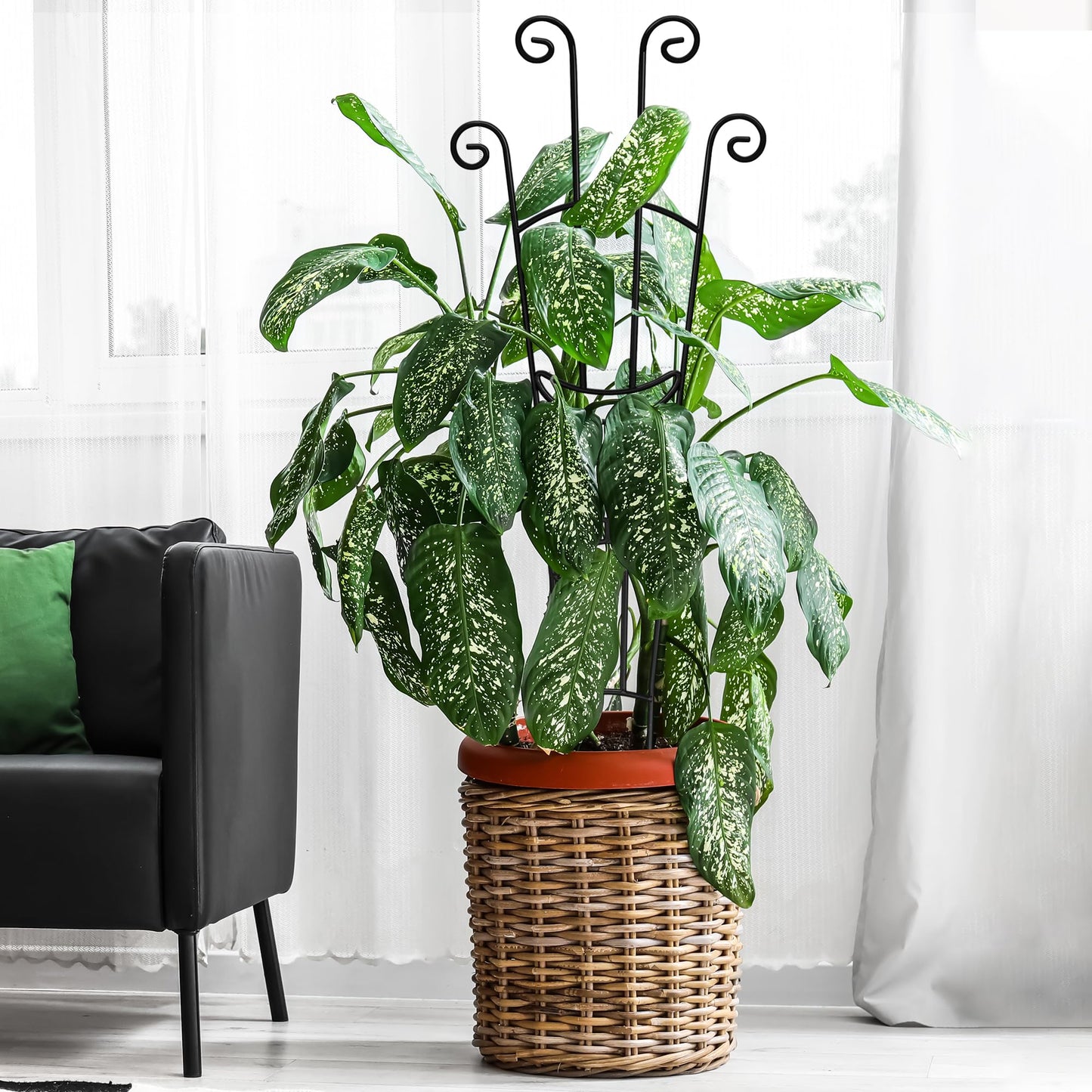 4(Four) Expandable Metal Trellis for Potted Plants, 2(Two) 23in Plant Trellis for Potted Plants and 2(Two) 32.6in Plant Trellis for Climbing Plants Indoor