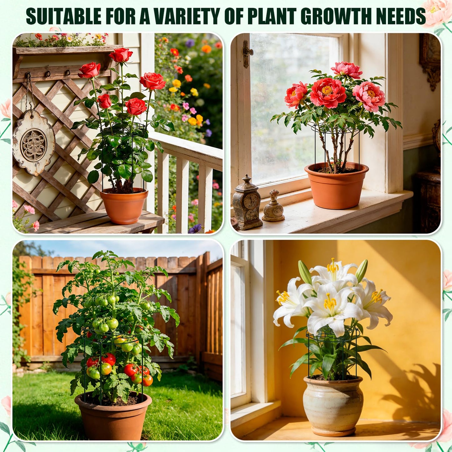 4 Pack Peony Cages and Supports, Grow Through Flower and Plant Supports, 13" Dia x 31.5" High Metal Peony Rings Hoops with Stake, Peony Support Cage for Dahlia, Rose Bush, Hydrangeas, Peonies, Tomato