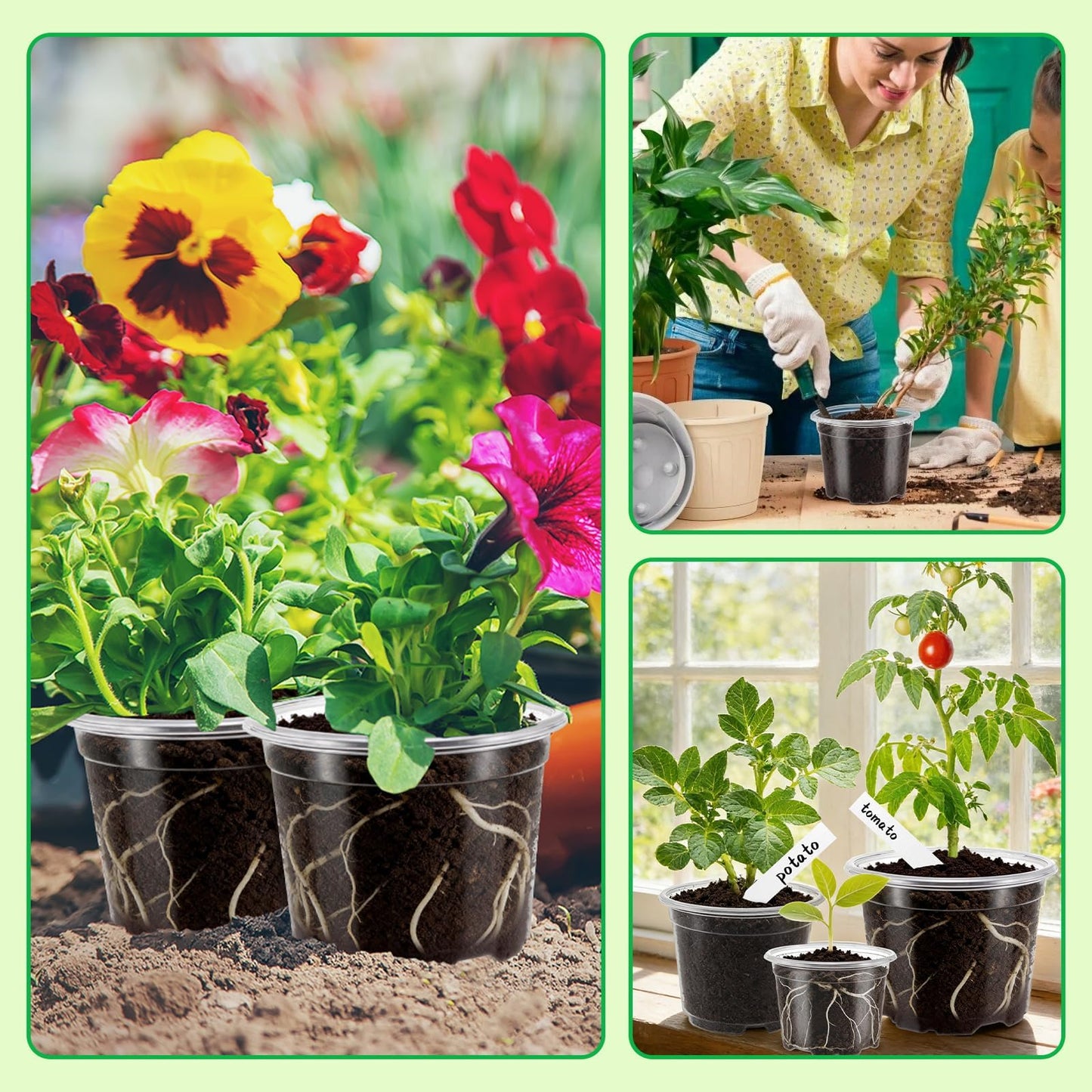 VOKOY 42 Pack 4/3/2.75 Inch Clear Nursery Pots with 50 Plant Labels, Clear Plant Pots with Drainage Hole Plastic Transparent Variety Pack Garden Flower Seedling Pots Small Planter Containers
