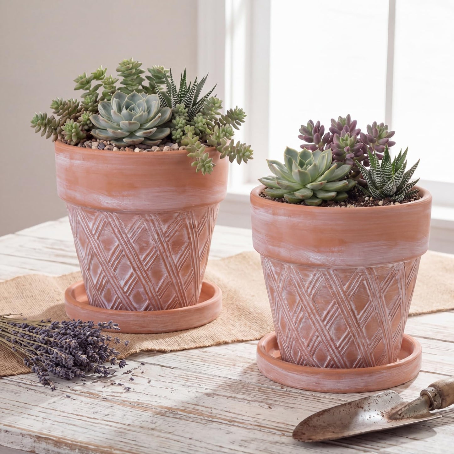 Maxdot Set of 6 Embossed Succulent Pots 4" Small Terracotta Pots with Drainage Hole and Saucer Rustic Clay Succulent Planter Pot Decorative Ceramic Cactu Flower Pot for Indoor Outdoor(Lattice Style)