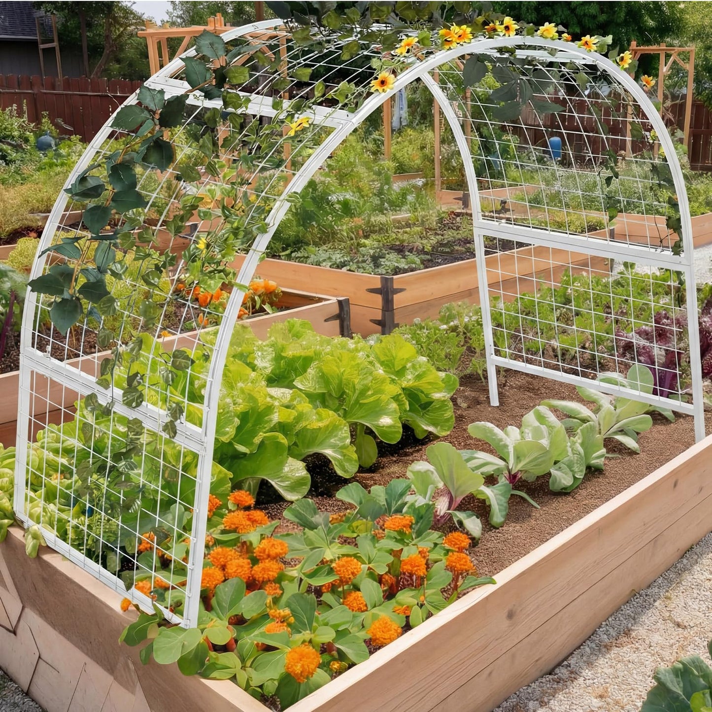 Newtay Arch Trellis for Planter Box Garden Wide Arbor Trellis Metal Arbor for Climbing Plants, Vegetables and Flowers Decorative Outdoor(White,6 x 2 x 6 ft)