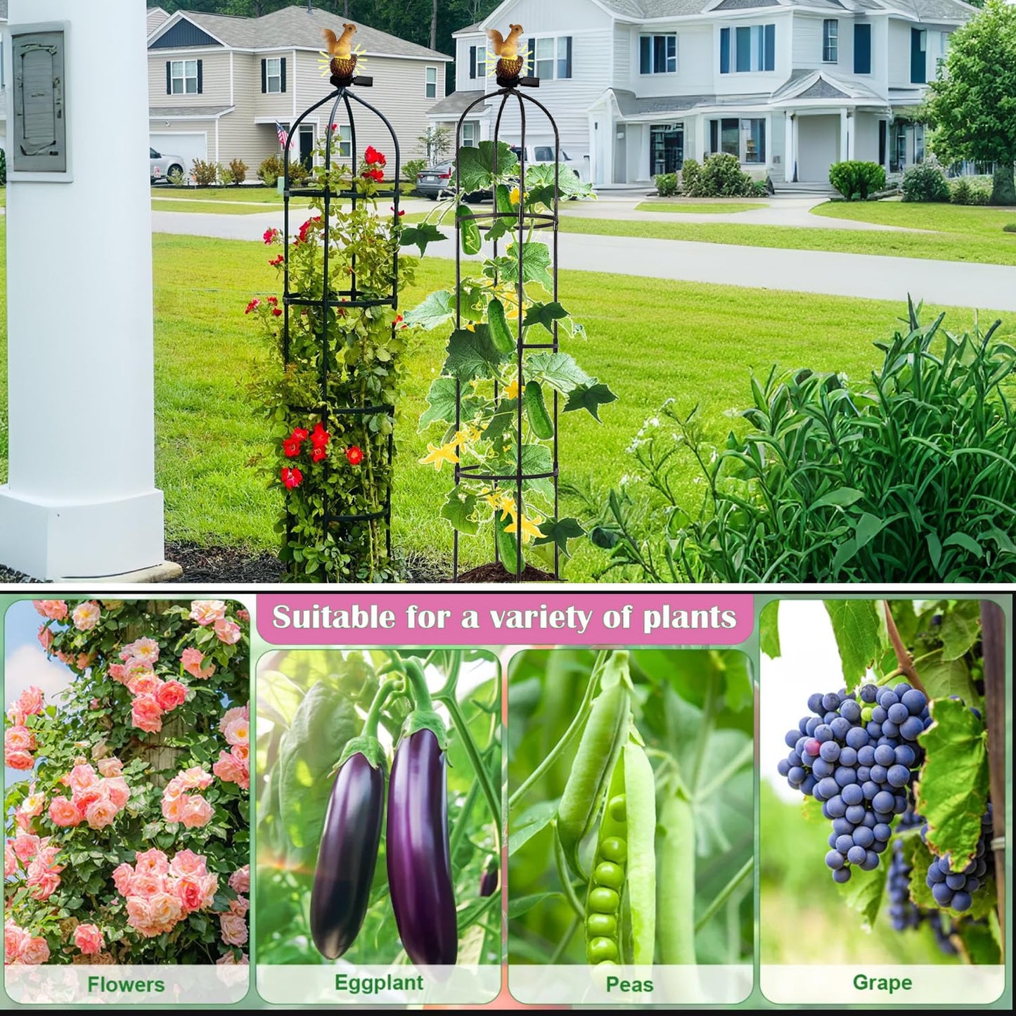 Metal Garden Obelisk Trellis for Climbing Plants Outdoor,Rose Round Trellis with Squirrel Head Auto Sensor Solar Light Rustproof Tomato Plant Support for Vines Cucumbers Tomato Cage,1 Pack