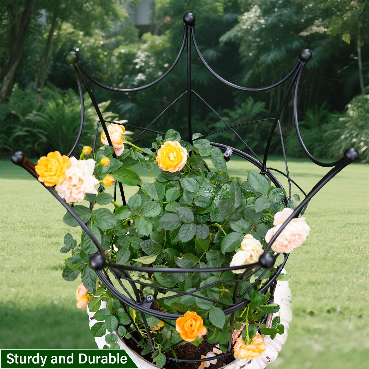 GOOOXIM Large Obelisk Trellis for Plant Supports 18.5in x 22.9in - Durable Metal Garden Support Cage for Peonies, Ideal for Indoor & Outdoor Use, Elegant Design, Easy to Install