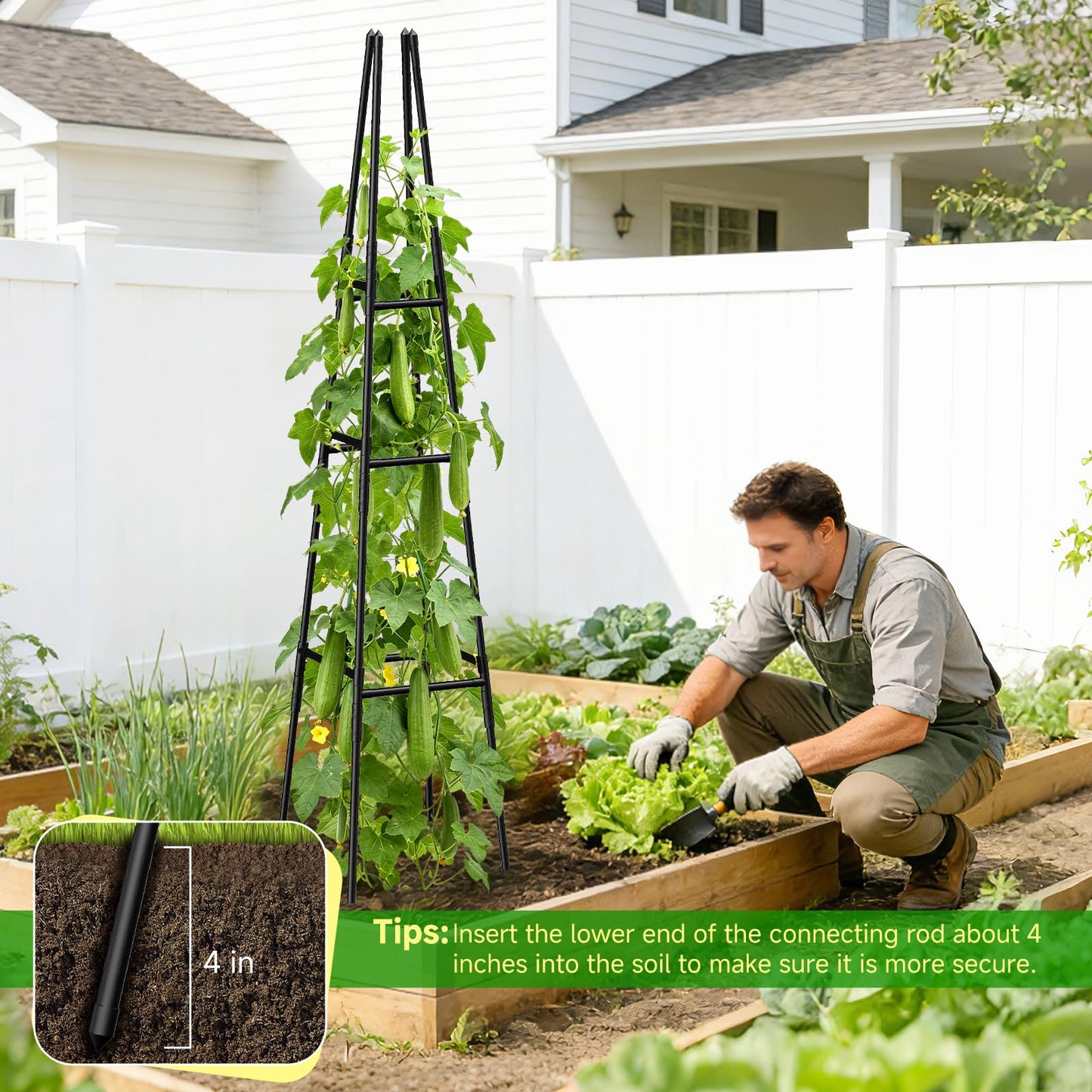 MQJIAZHI Garden Obelisk Trellis for Climbing Plants Outdoor, 63 Inch Height Adjustable Gardening Trellis, Steel Plastic Coated Plant Support for Indoor & Outdoor Multiple Climbing Plants(1PCS)