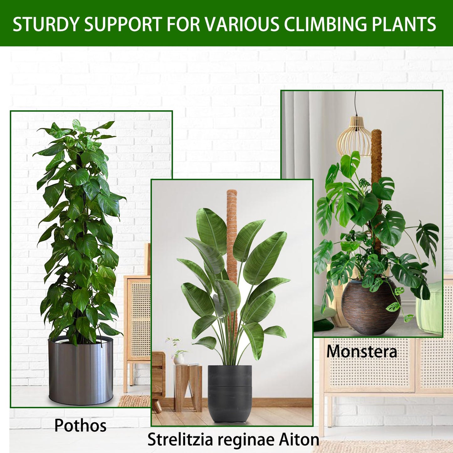 3 Pack 50 Inch Bendable Moss Pole Monstera Plant Support for Climbing Plants Indoor DIY Tall Moss Ploles Made of Coco Coir Sticks Support Stakes for Pothos Philodendron Potted Plants to Grow Upwards