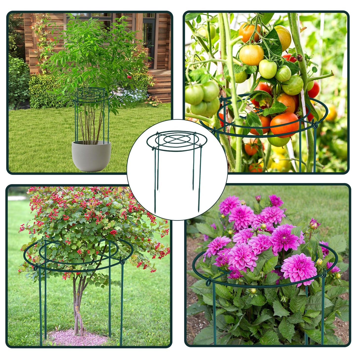 2Set Metal Peony Grid Cages, 30"H X 13"D Large Flower Support Cages Grow Through Hoop Ring Peony Stakes Garden Plant Support Rings Heavy Duty Plant Braces Peonies Structure for Outdoor Plants Blossoms
