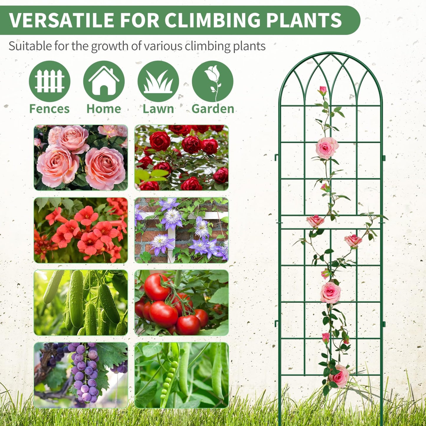 SUNYRISY 4Pack Metal Garden Trellis for Climbing Plants Outdoor, 71x20in Metal Plant Support for Flowers Tomato Cucumber Rose Vegetable Garden Courtyards Lawns Decoration, Green