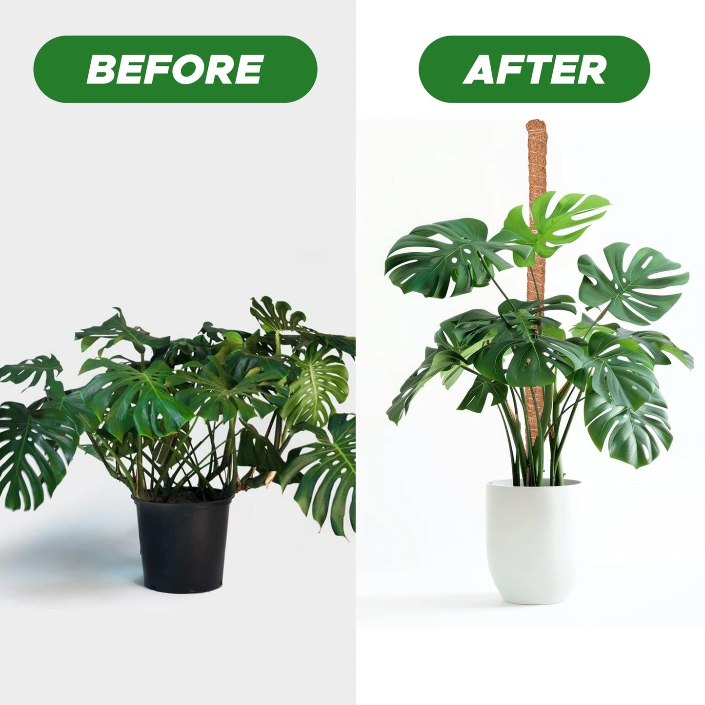 EcoNour Moss Pole for Plants – 28 inches (4 Pack) | Monstera Plant Support for Plant Climbing and Growth | Elevate Your Indoor Garden, Plant Support for Indoor Potted Plants to Grow Upwards